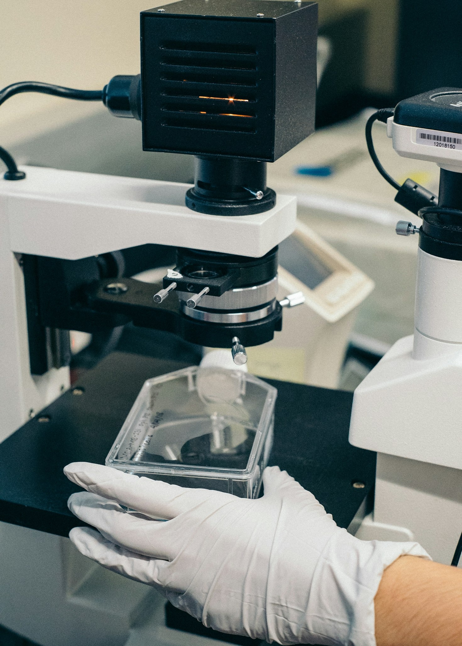 How Nanoencapsulation is Redefining Supplement Delivery