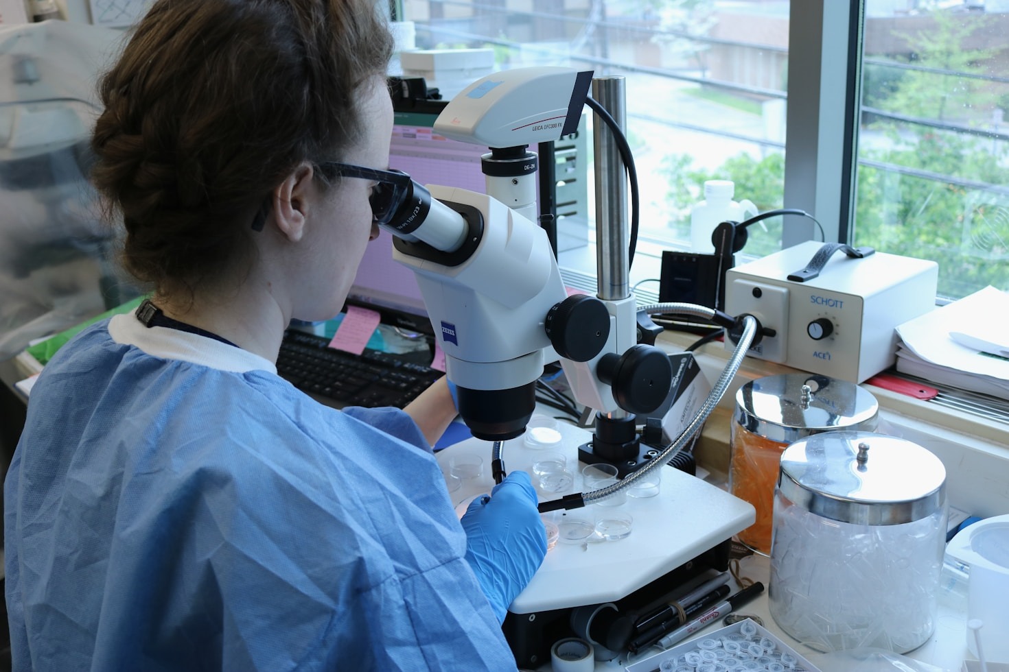 Exploring Innovative Nano Solutions for Health